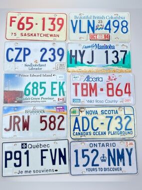 Vintage Authentic all 10 Canadian Province License Plate Wall Art